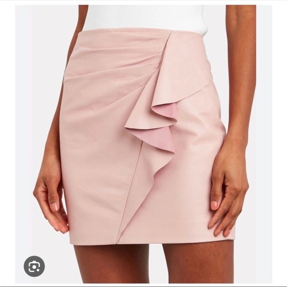NWT Michelle Mason Leather Mini Skirt - Picture 1 of 9